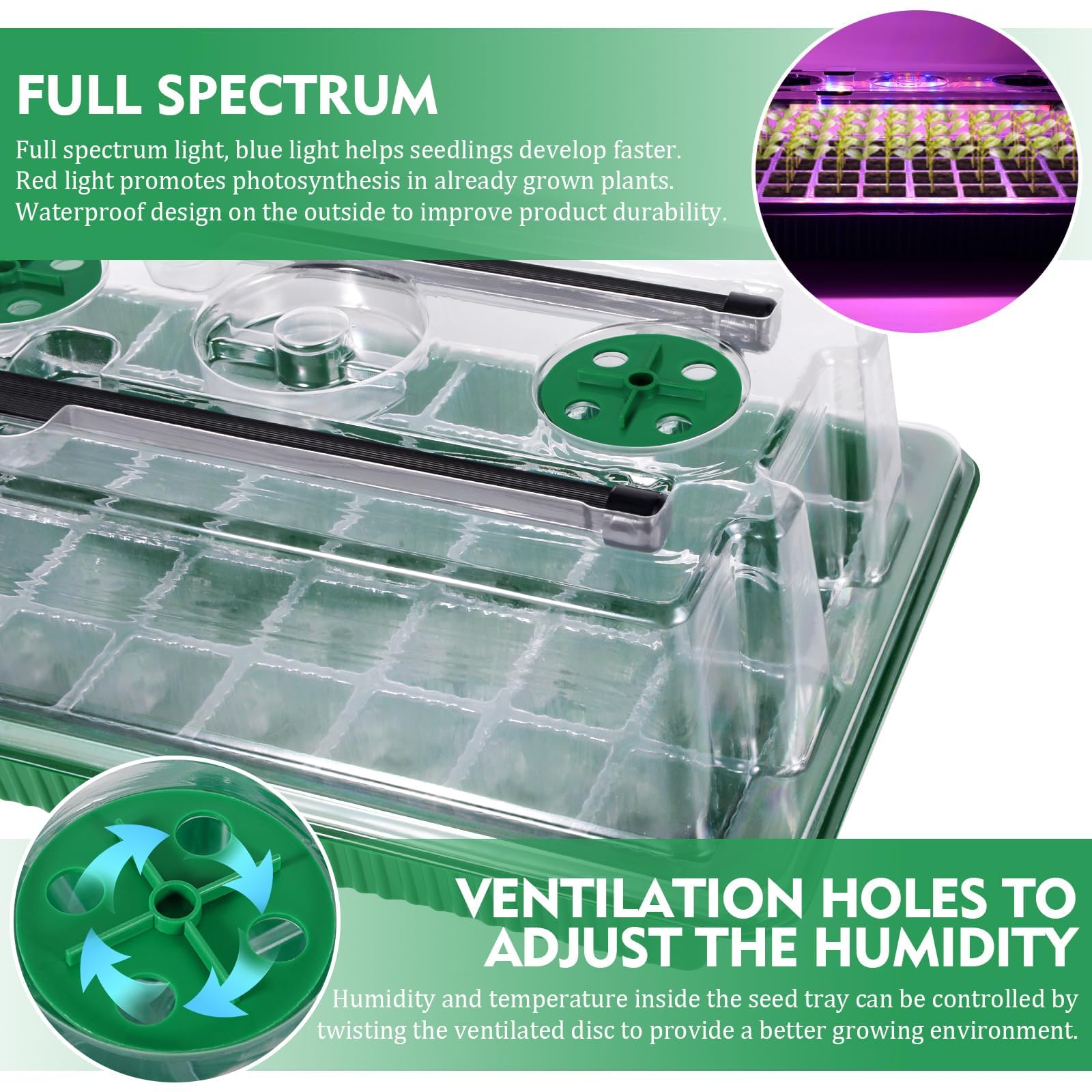 Verdenu smart grow light with timer for customized plant lighting.