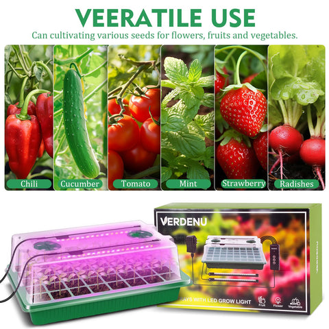 Verdenu upgraded lid height of 3.5 inches provides more space for seedlings.