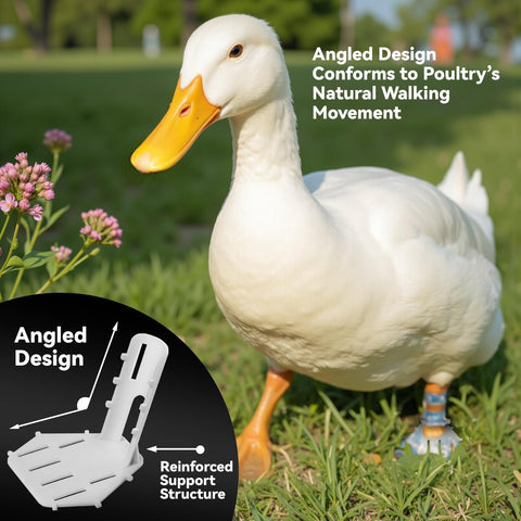 Verigud angled-leg splint design supports natural gait without hindering movement