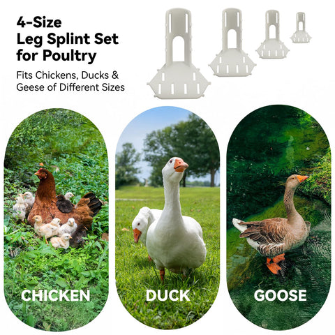 Verigud four-size set fits chicks to adults for flexible leg support
