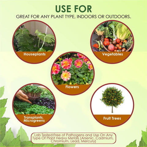 VermisTerra castings spread on soil show even coverage and ease of use.