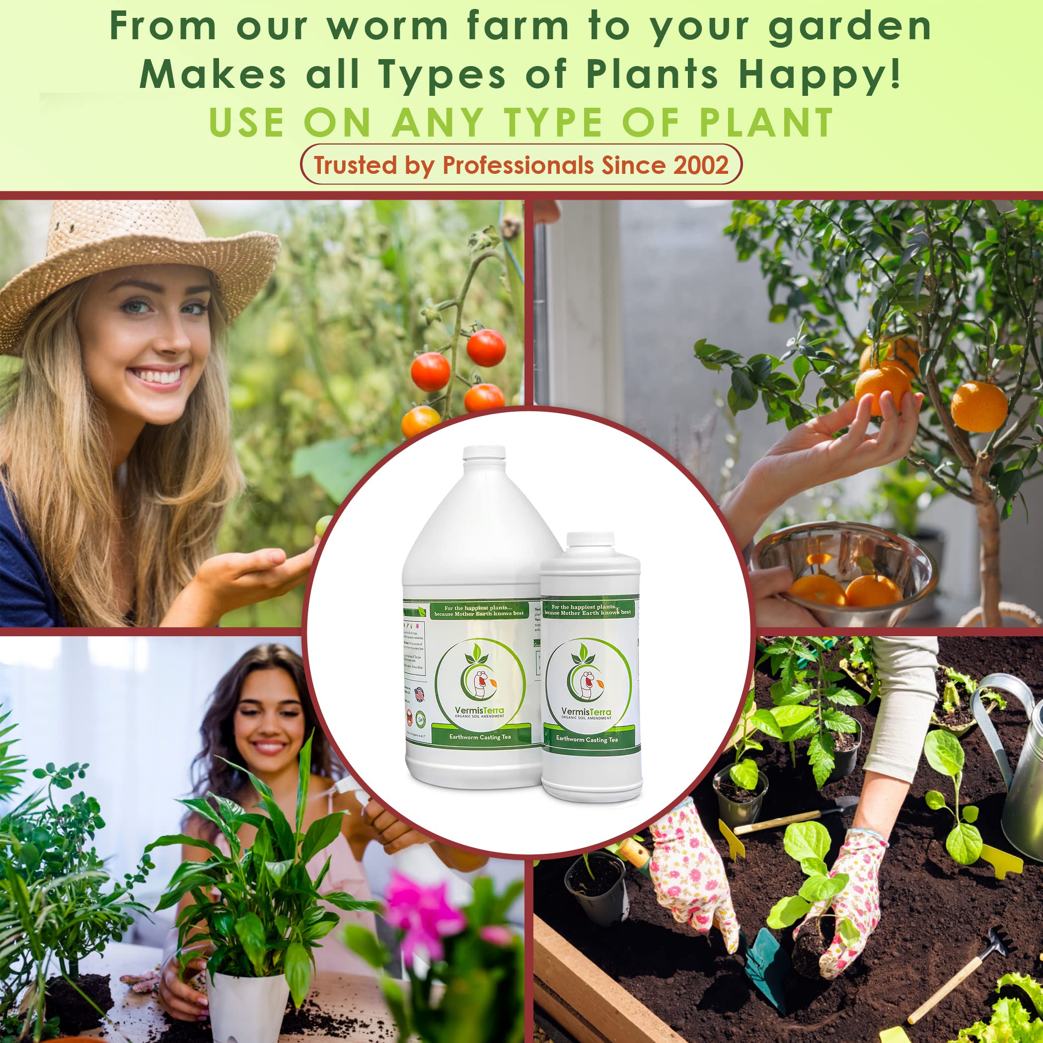 Pouring VermisTerra Worm Tea for root-boosting soil nourishment