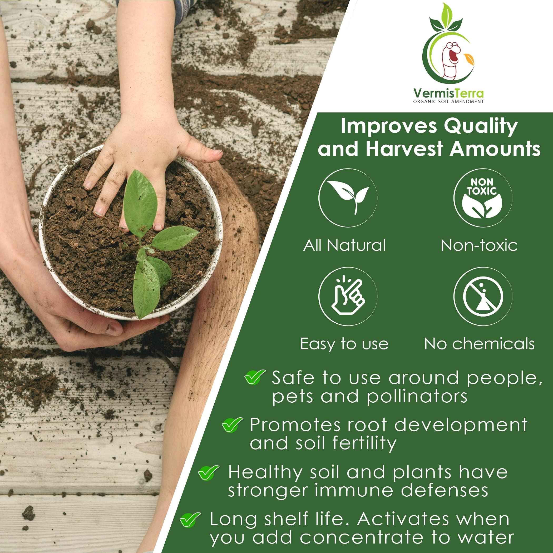 Vegetables thriving with VermisTerra Worm Tea nutrients