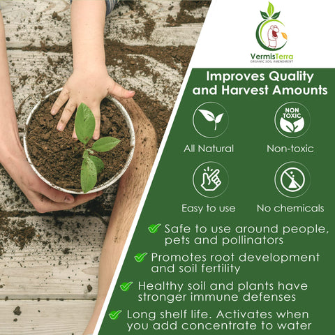 Vegetables thriving with VermisTerra Worm Tea nutrients