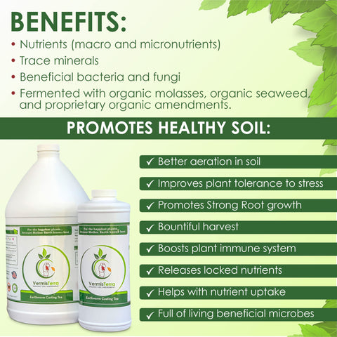 Soil enriched with VermisTerra Worm Tea application