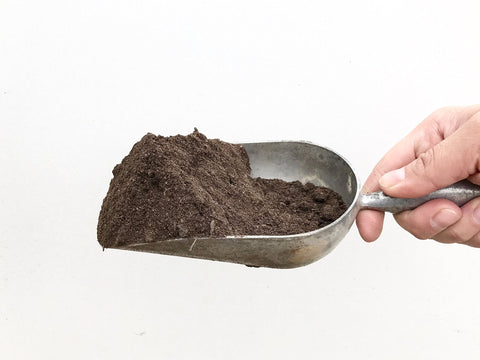 VermisTerra indoor plants care scene demonstrates versatile use around pots.