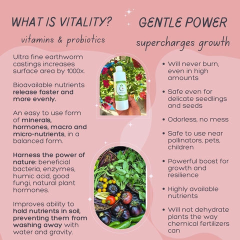 VermisTerra Vitality growth-accelerator boosts rapid, healthy vigor in your garden.