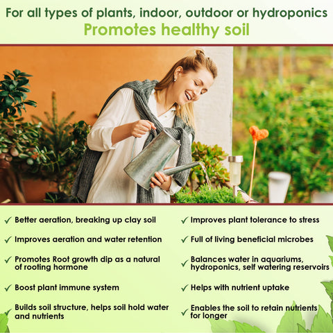 VermisTerra Vitality natural-hormones-rooting supports cuttings with stronger initial roots.