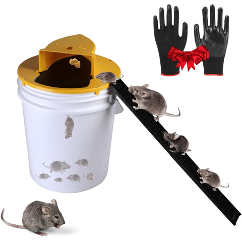 Vertaze bucket lid mouse trap with auto-reset captures multiple mice safely.