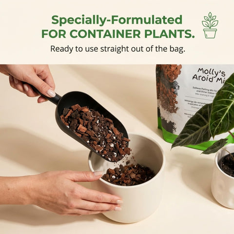 Heat-sealed recyclable packaging of Molly's Aroid Mix for freshness
