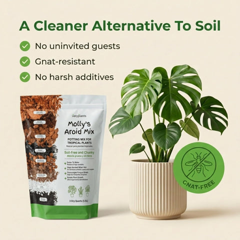VeryPlants Molly's Aroid Mix enriched with worm castings for gentle nutrient balance.