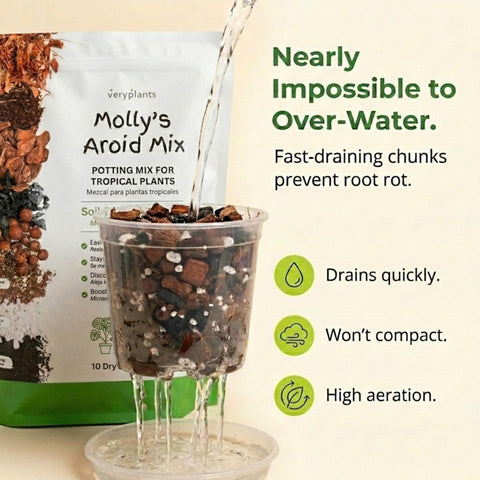 Veryplants Molly's Aroid Mix with worm castings supports richer root nourishment and steady growth.
