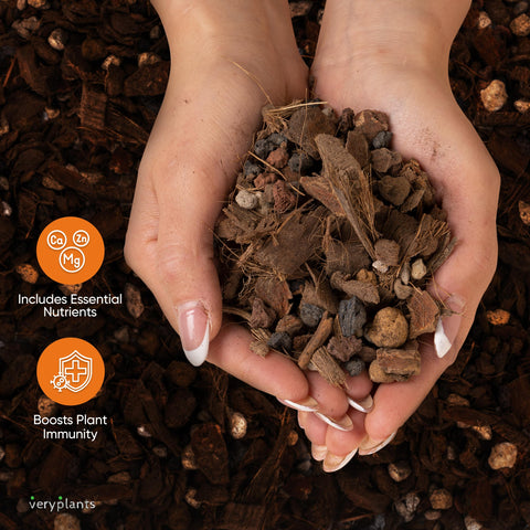 VeryPlants Molly's Orchid Potting Mix mineral blend with akadama pumice lava rock for drainage