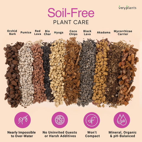 VeryPlants Molly's Orchid Potting Mix bag back explains soil-free components.