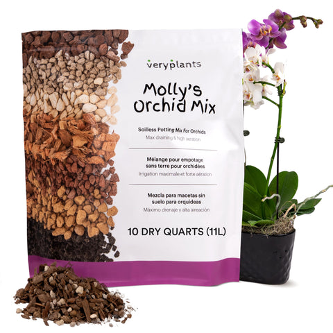 VeryPlants Molly's Orchid Potting Mix bag with premium gritty formula for drainage