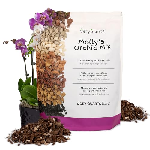 VeryPlants Molly's orchid potting mix with bark and lava rock provides excellent drainage.