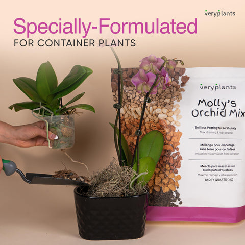 VeryPlants Molly's orchid mix is organic, mineral, and pH-balanced for container-grown plants.