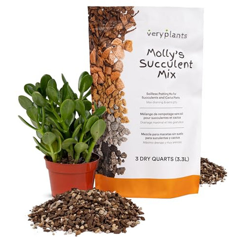 VeryPlants Molly's Succulent Mix bag front shows a free-draining formula for succulents.