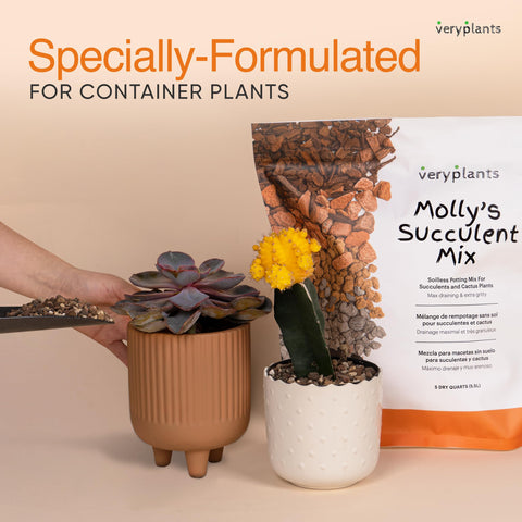 Close-up of ingredients shows Akadama and Pumice, supporting drainage and healthy root systems.