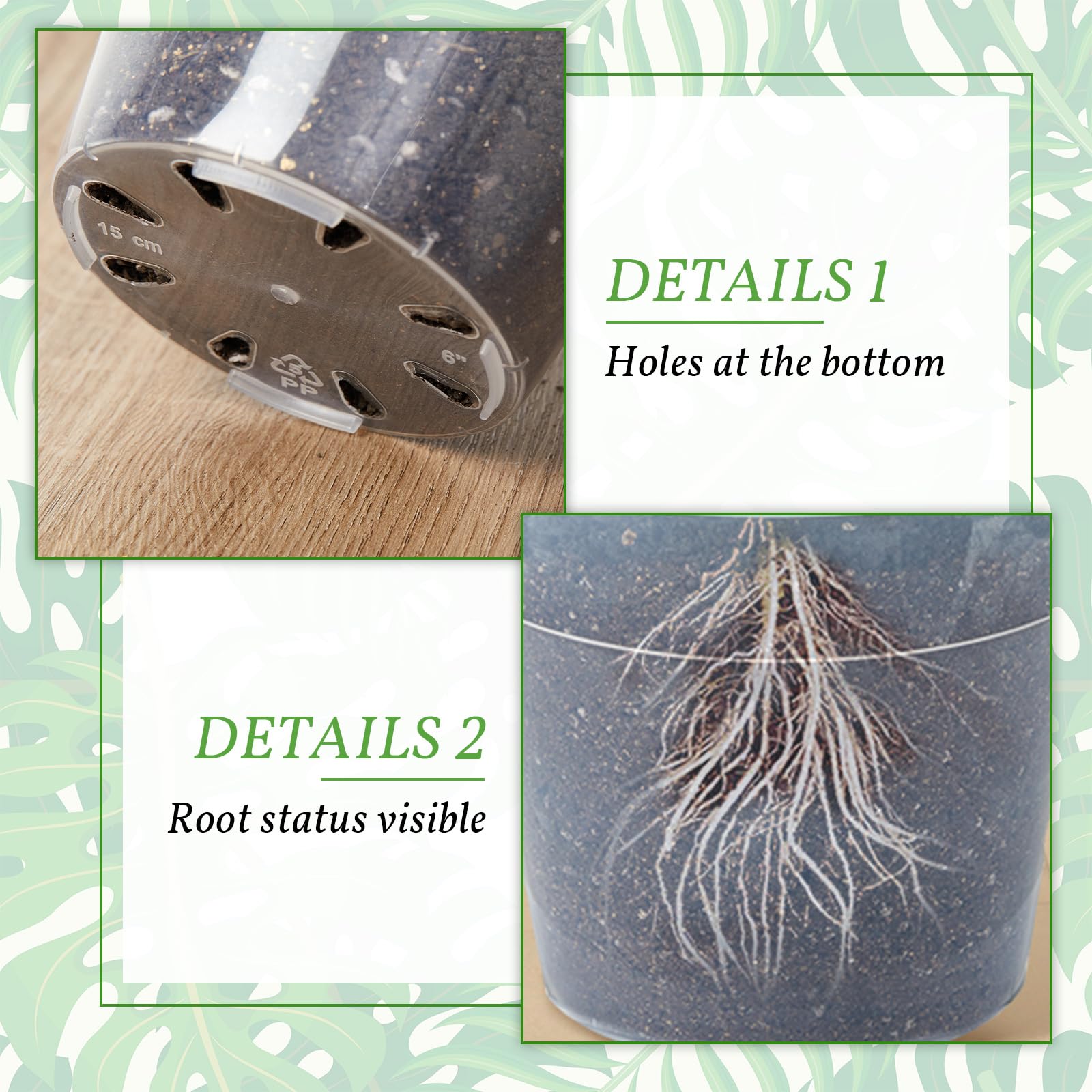 Vesici clear 10-inch nursery pot ideal for larger seedlings and flowering plants