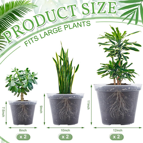 Vesici clear nursery pot 10 inch shows root growth for healthy plant development.