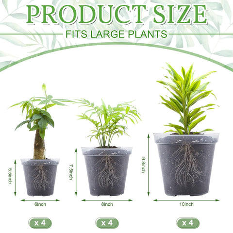 Vesici clear 8-inch nursery pot showing drainage and root visibility for healthy growth