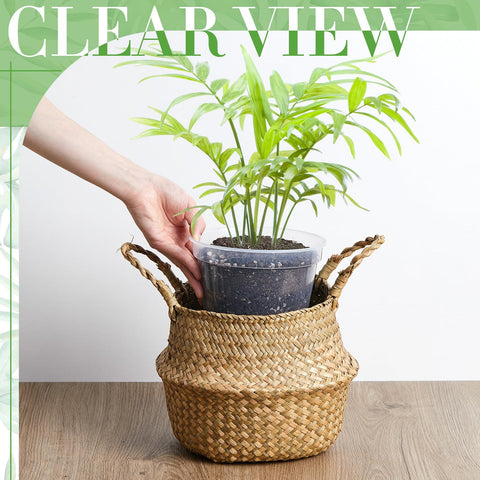 Vesici pot with drainage holes for 8-inch size suitable for herbs and small plants