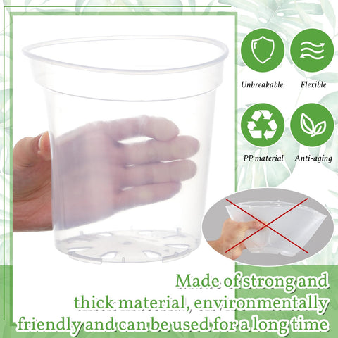 Vesici drainage holes in clear pots support proper watering and root ventilation.