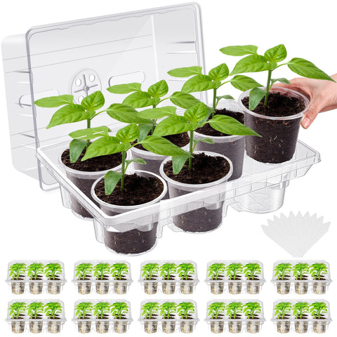 Vesici seed-starter-tray with 60 cells for organized germination and easy transplanting
