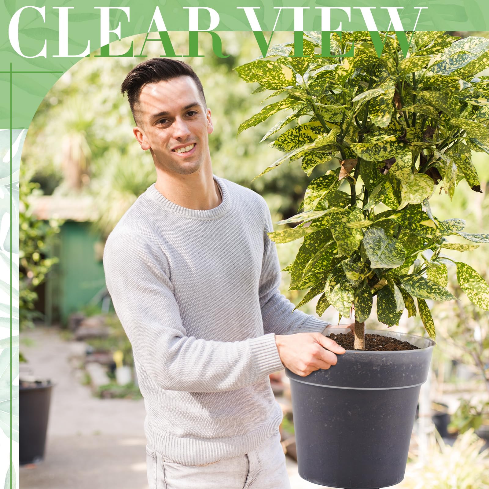 Vesici transparent root view highlighting root growth through clear walls.