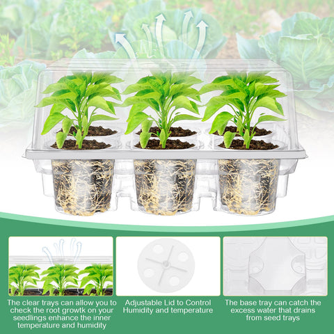 Vesici ventilation-lids-adjustable support precise moisture control for healthy starts