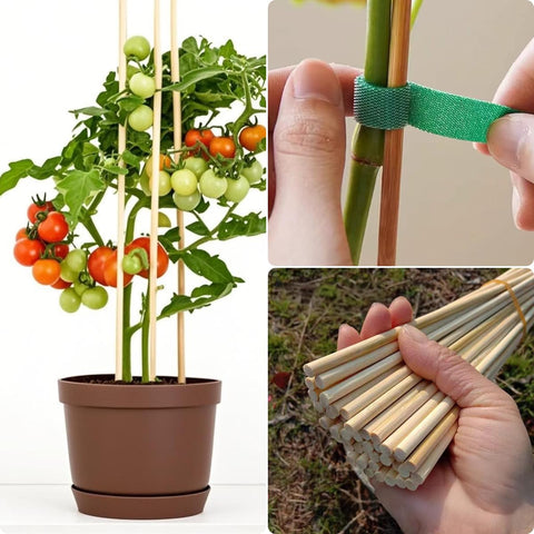 Vesyman bamboo stake for climbing plants provides sturdy support