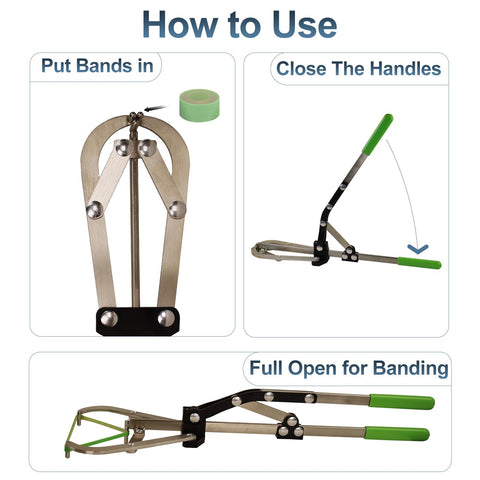 VET.PLUS banding setup ready for cattle, calves, goats and sheep.