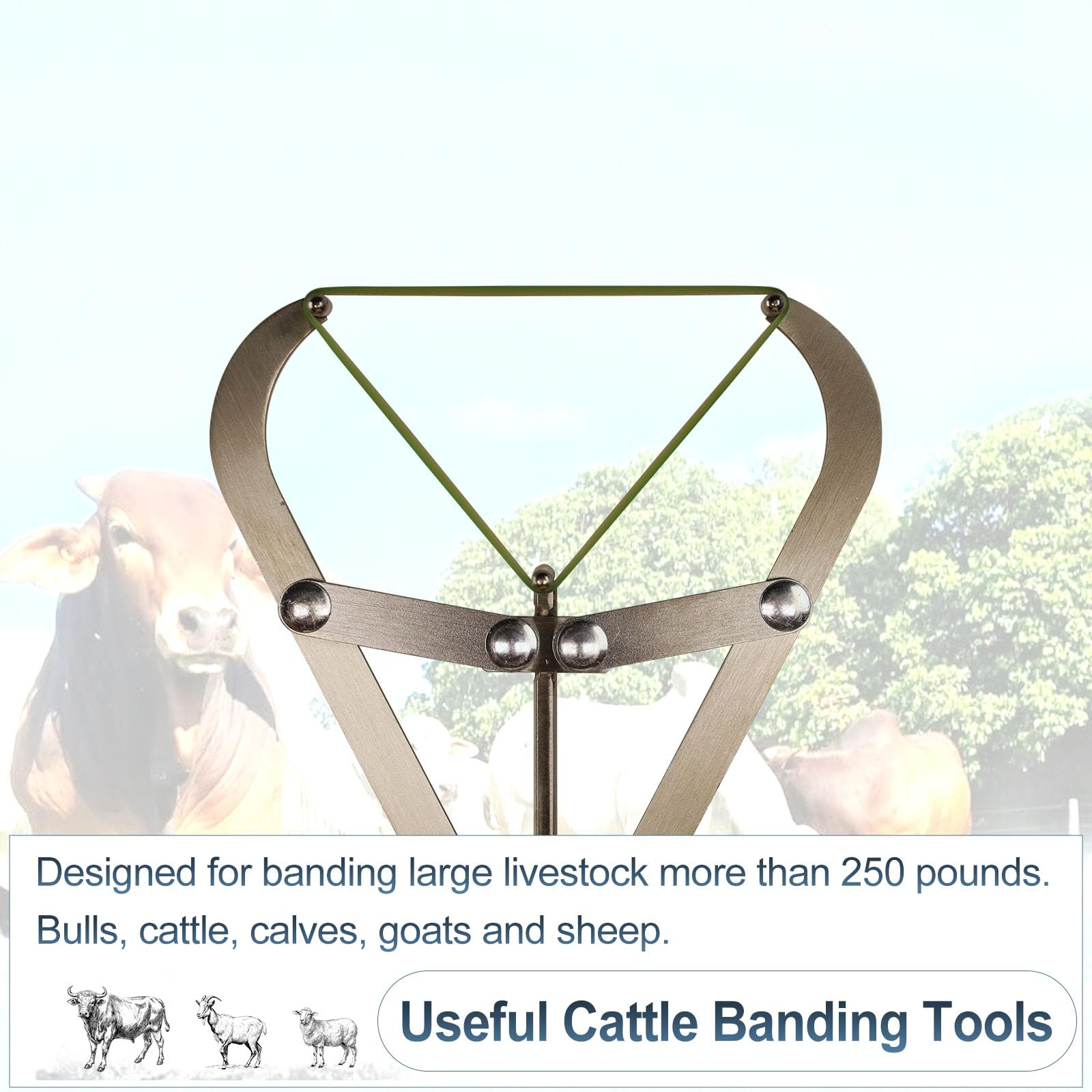 VET.PLUS large expander plier helps secure bands efficiently.