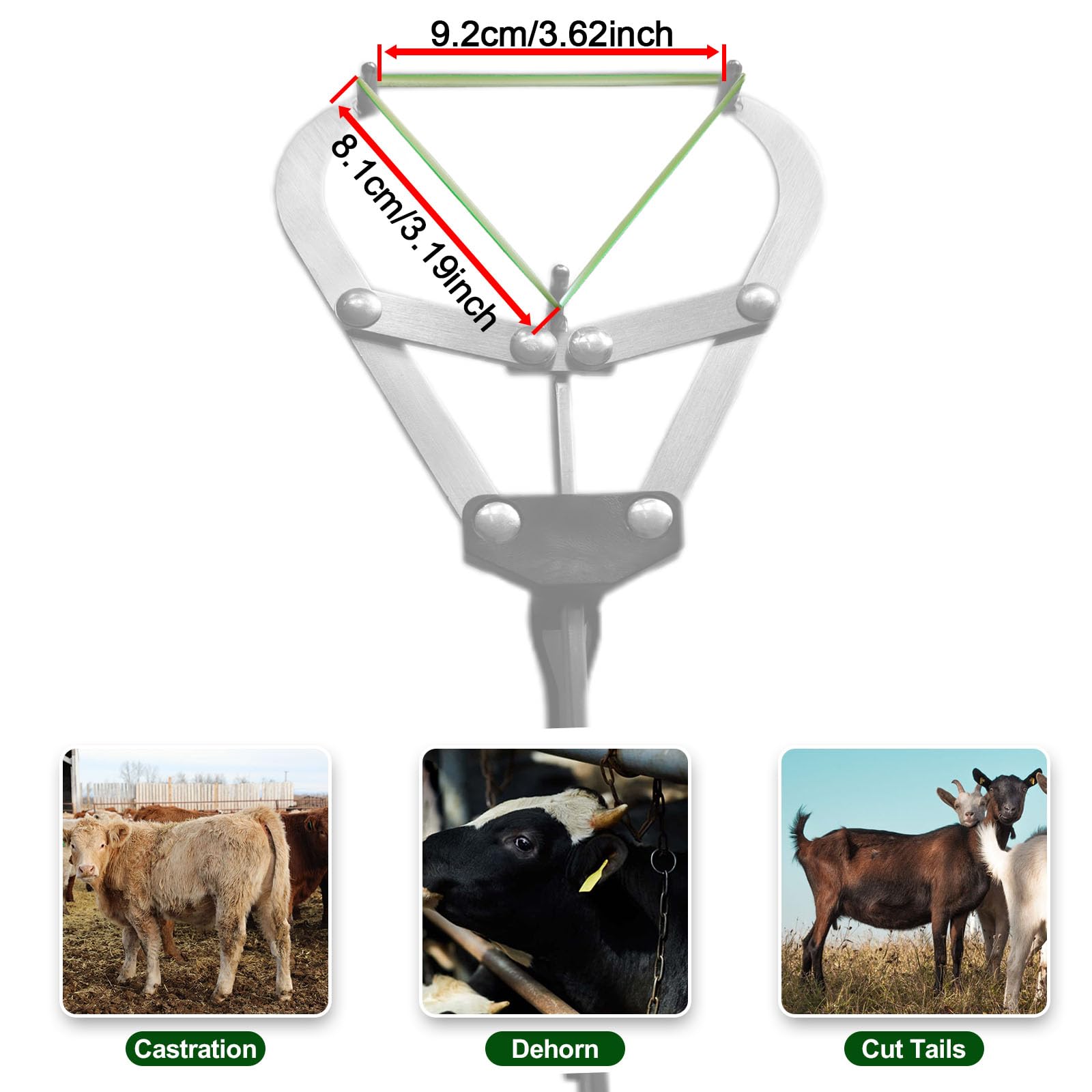 24 count pack of VET.PLUS bands compatible with extra large banders