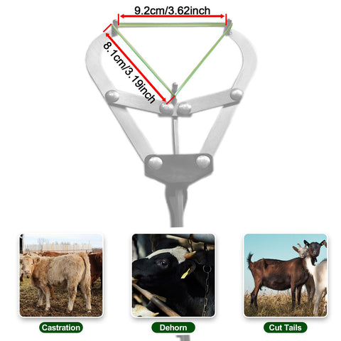 24 count pack of VET.PLUS bands compatible with extra large banders