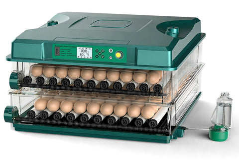 Vevitts 196-egg incubator interior view with evenly spaced trays for efficient turning