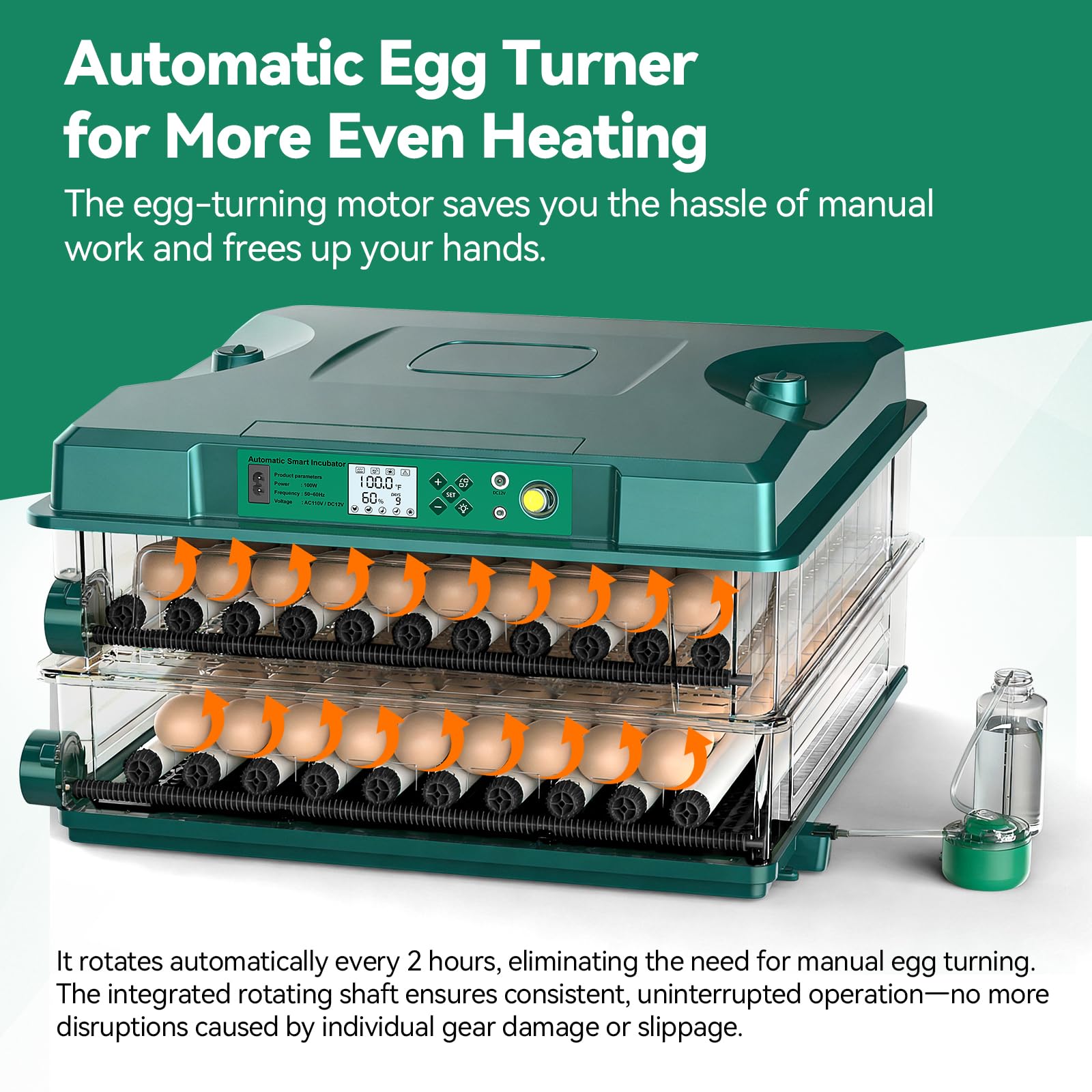 Vevitts capacity versatility for multi-species hatching with quail, pigeon, and duck eggs