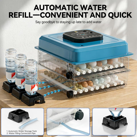 Vevitts incubator 5 modes tailor temperature to different species.
