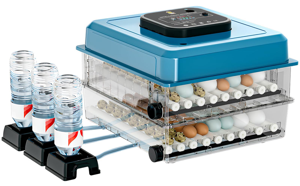 Vevitts incubator digital display shows accurate temp and humidity for hatch planning.