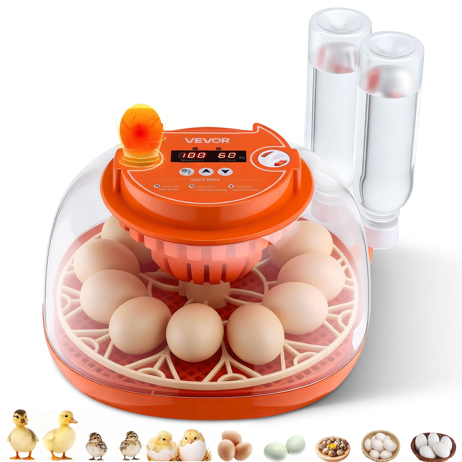 VEVOR 12 Egg Incubator front view highlights even temperature distribution for consistent hatch results