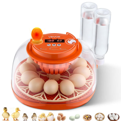 VEVOR 12 Egg Incubator front view highlights even temperature distribution for consistent hatch results