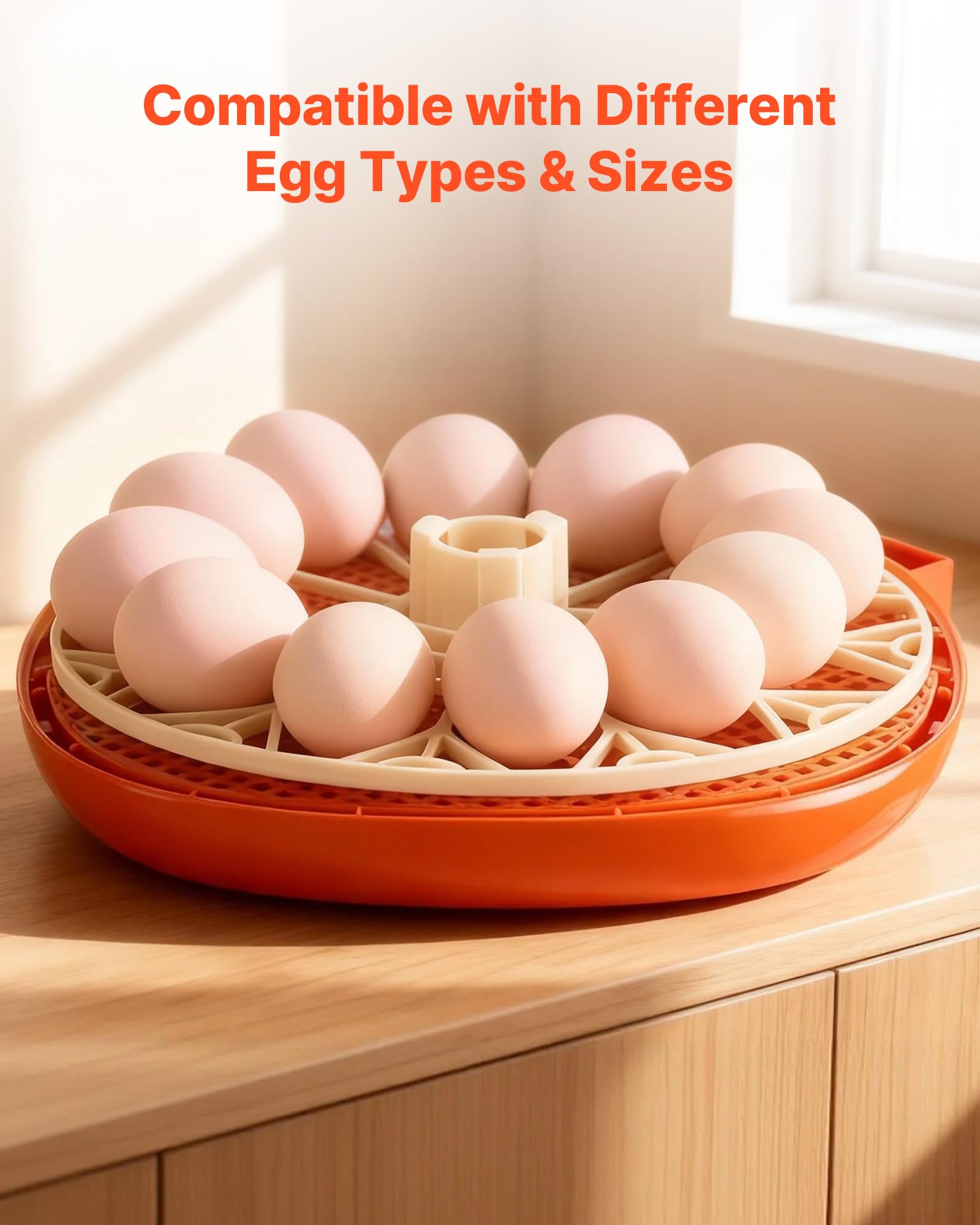 VEVOR 12 Egg Incubator humidity sensor helps manage egg viability