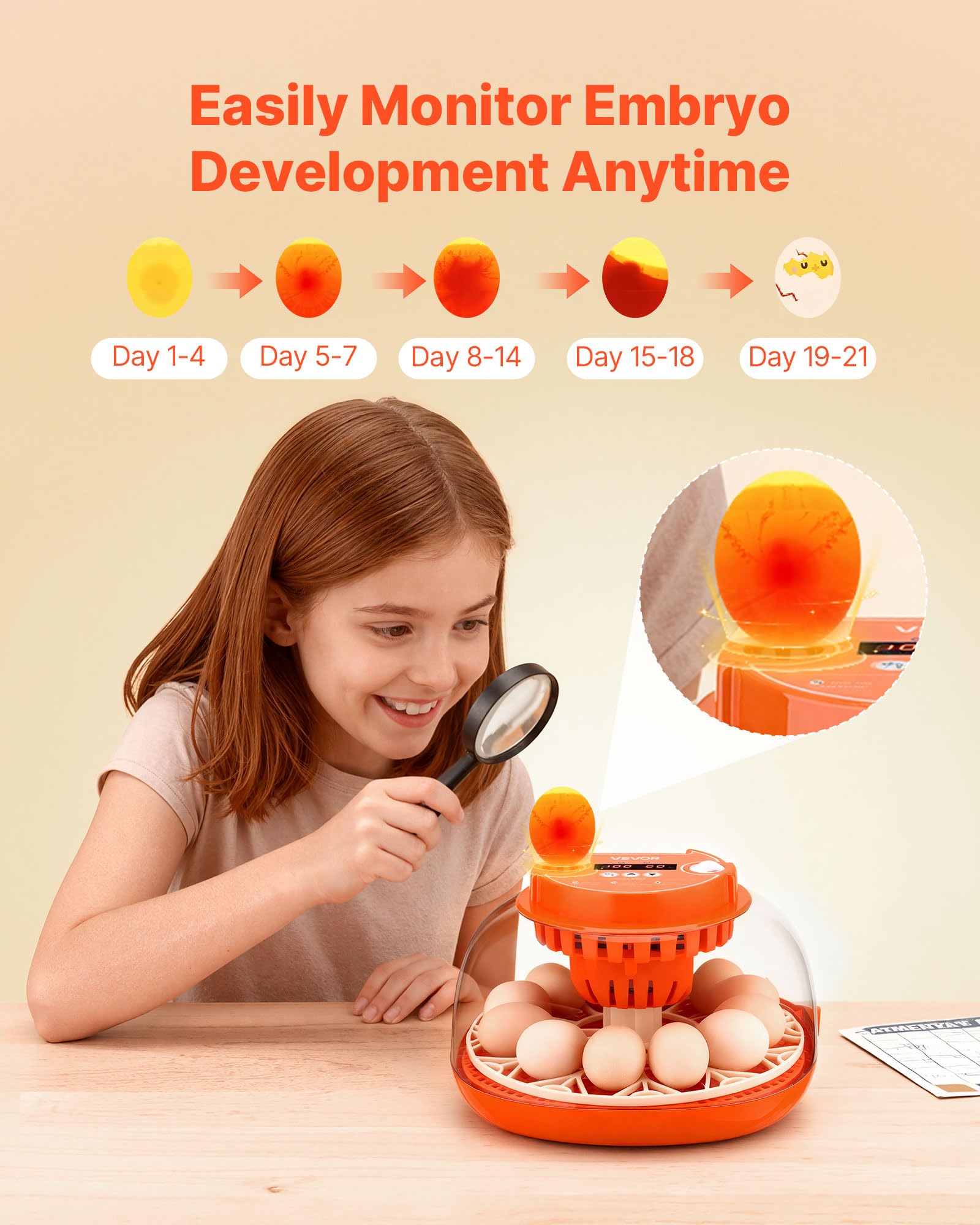 VEVOR 12 Egg Incubator temperature sensor provides real-time condition checks