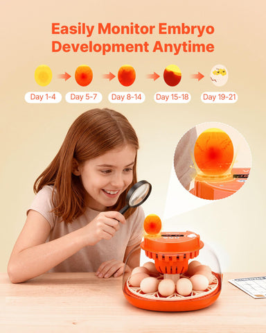 VEVOR 12 Egg Incubator temperature sensor provides real-time condition checks