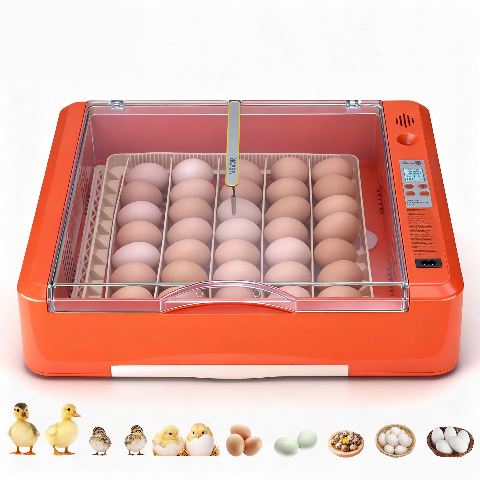 VEVOR 36-egg incubator 360 view shows even temperature distribution for reliable hatch