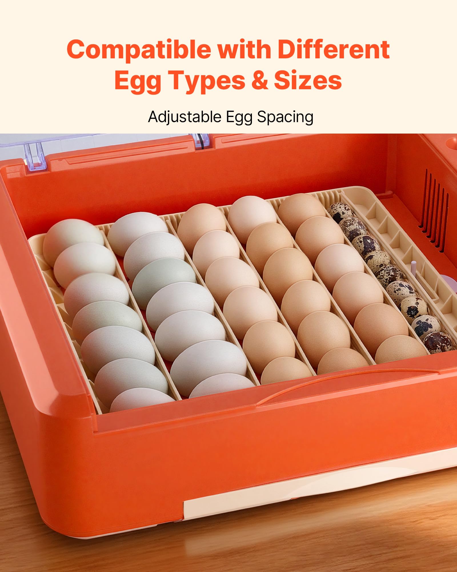 VEVOR automatic turning keeps every egg evenly oriented for healthy development