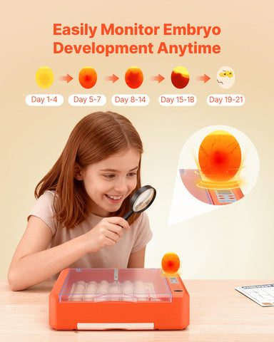 VEVOR humidity sensor helps prevent eggshell stress by tracking moisture