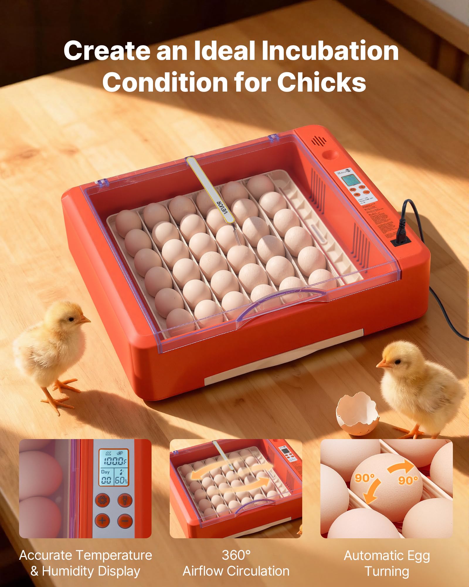 VEVOR 36-egg incubator with LED candler highlights embryo development clearly