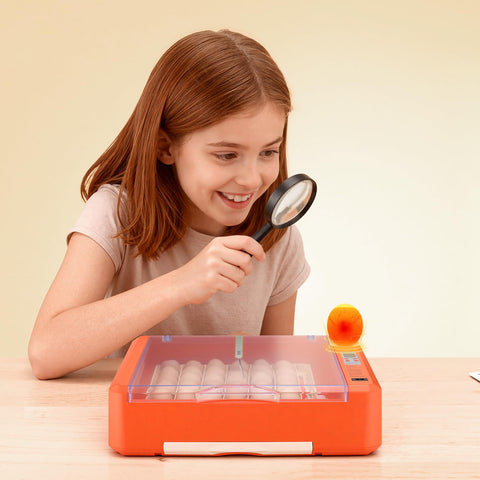 VEVOR transparent window allows observing progress without opening the lid
